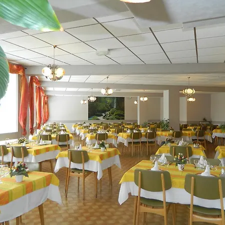 Hotel Logis L'elanceze Thiézac