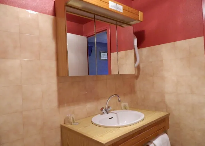 Hotel Logis L'elanceze 2*